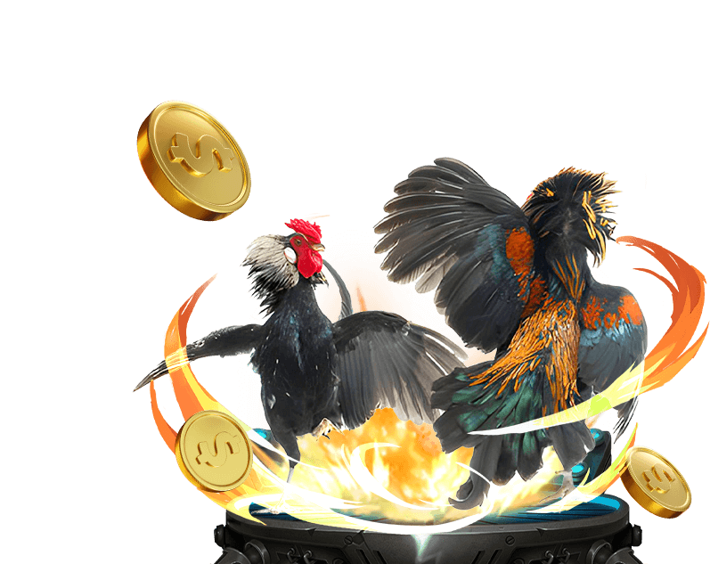 Đá gà trực tuyến